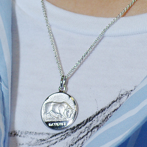 おうし座 シルバー 19mm